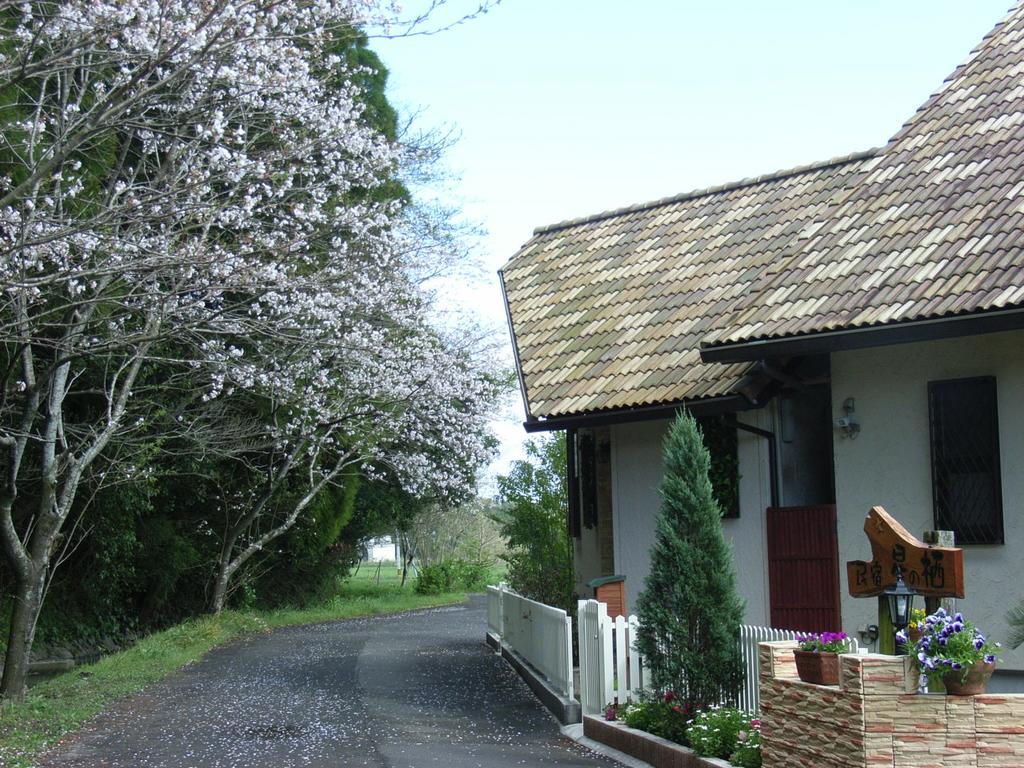 Hotel Minshuku Hoshi No Sumika Shibushi Zewnętrze zdjęcie